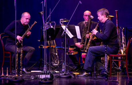 Trio Lézard © Sascha Rheker